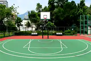 Basketball Court